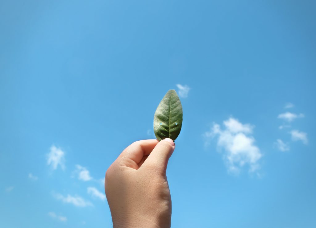 novità green per le città