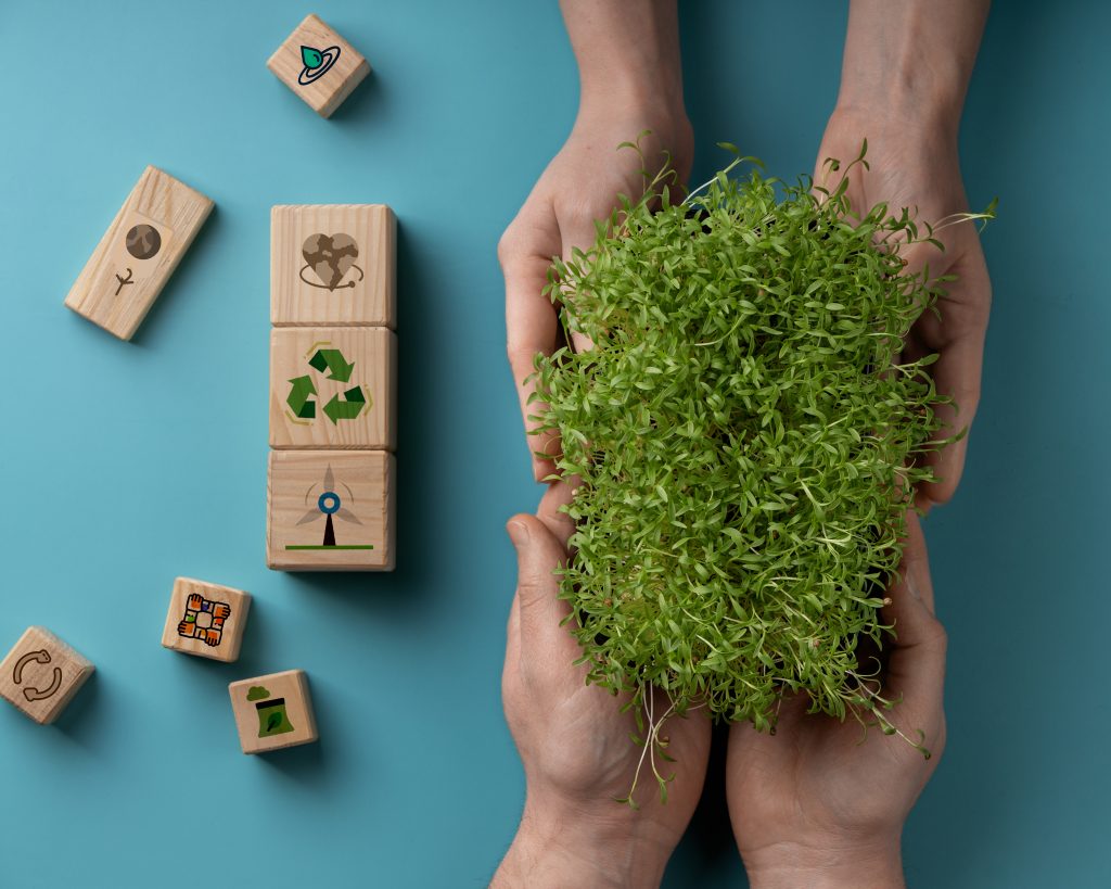 Come migliorare l'efficientamento energetico di casa